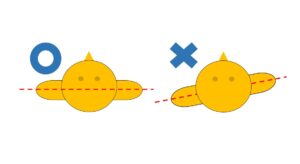 肩の前後の位置の説明図