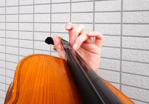 バイオリンの左手