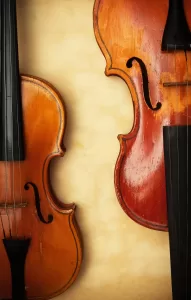 バイオリン半分