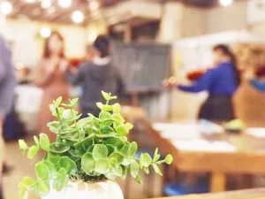 バイオリン教室の観葉植物（イメージ）