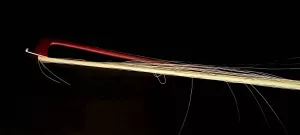 バイオリン弓毛（荒れた状態）