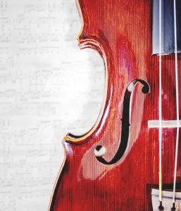 バイオリン半面（イメージ画像）